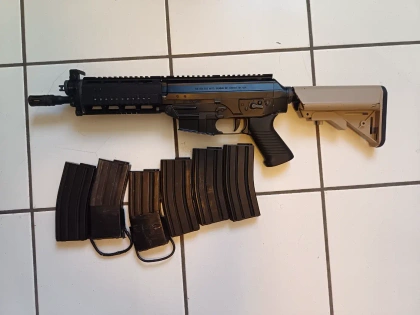 Sig 556 king arms