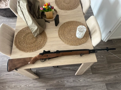 M14 AEG 